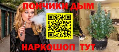 хмурый Бийск