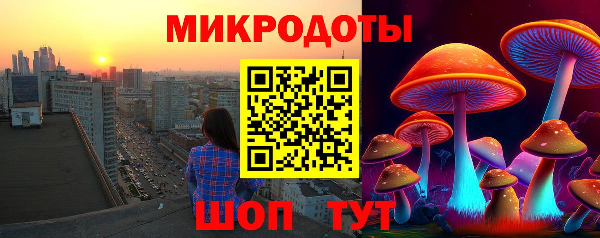Псилоцибиновые грибы Magic Shrooms  Вход с VPN  Псилоцибиновые грибы GOLDEN TEACHER  купить закладку  Калининград 